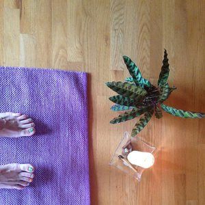 Meet your Posher, Julia